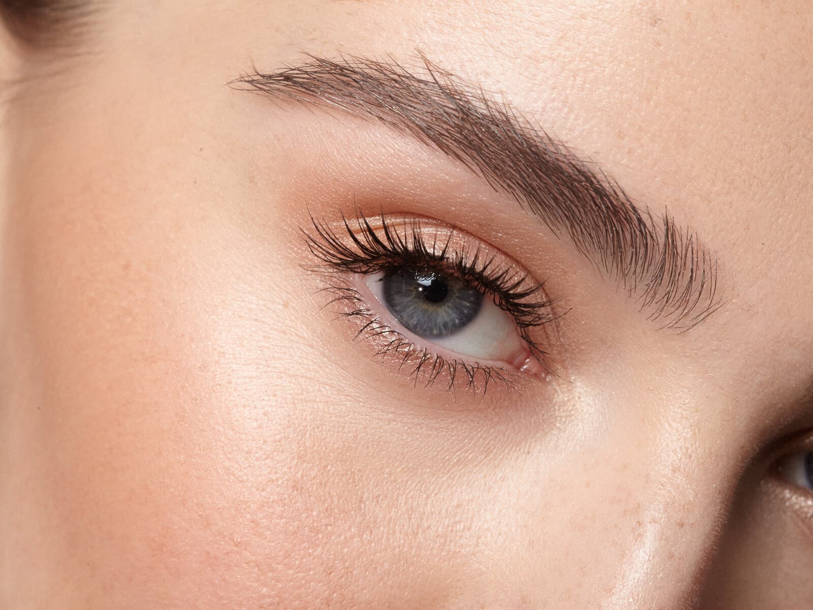 A close view of a woman's brow and eye, the arch of the brow and the lashes sharply lit